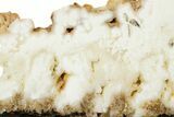 Polished White Plume Agate Slab - Nevada #371196-1